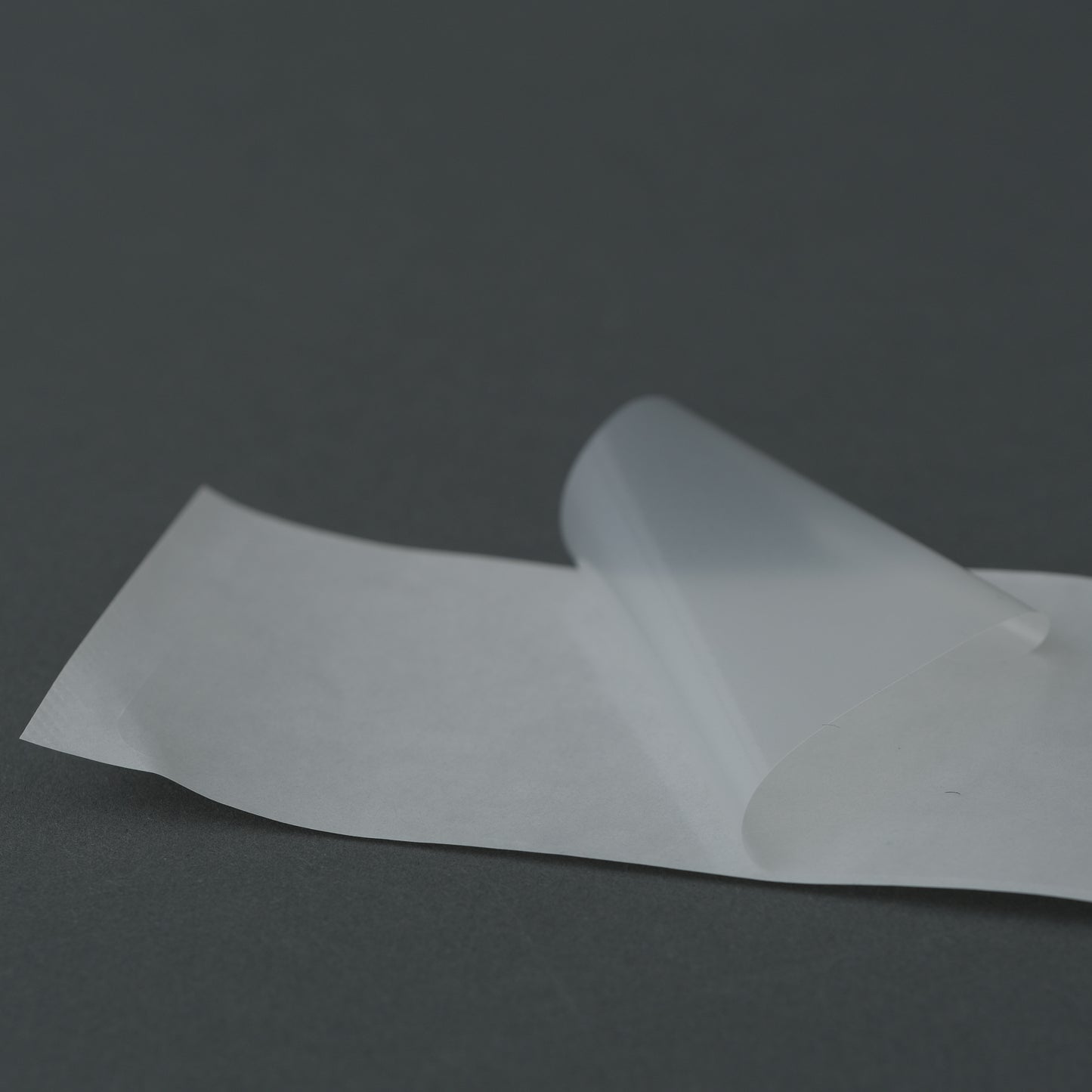 撥皮シール【津軽用】